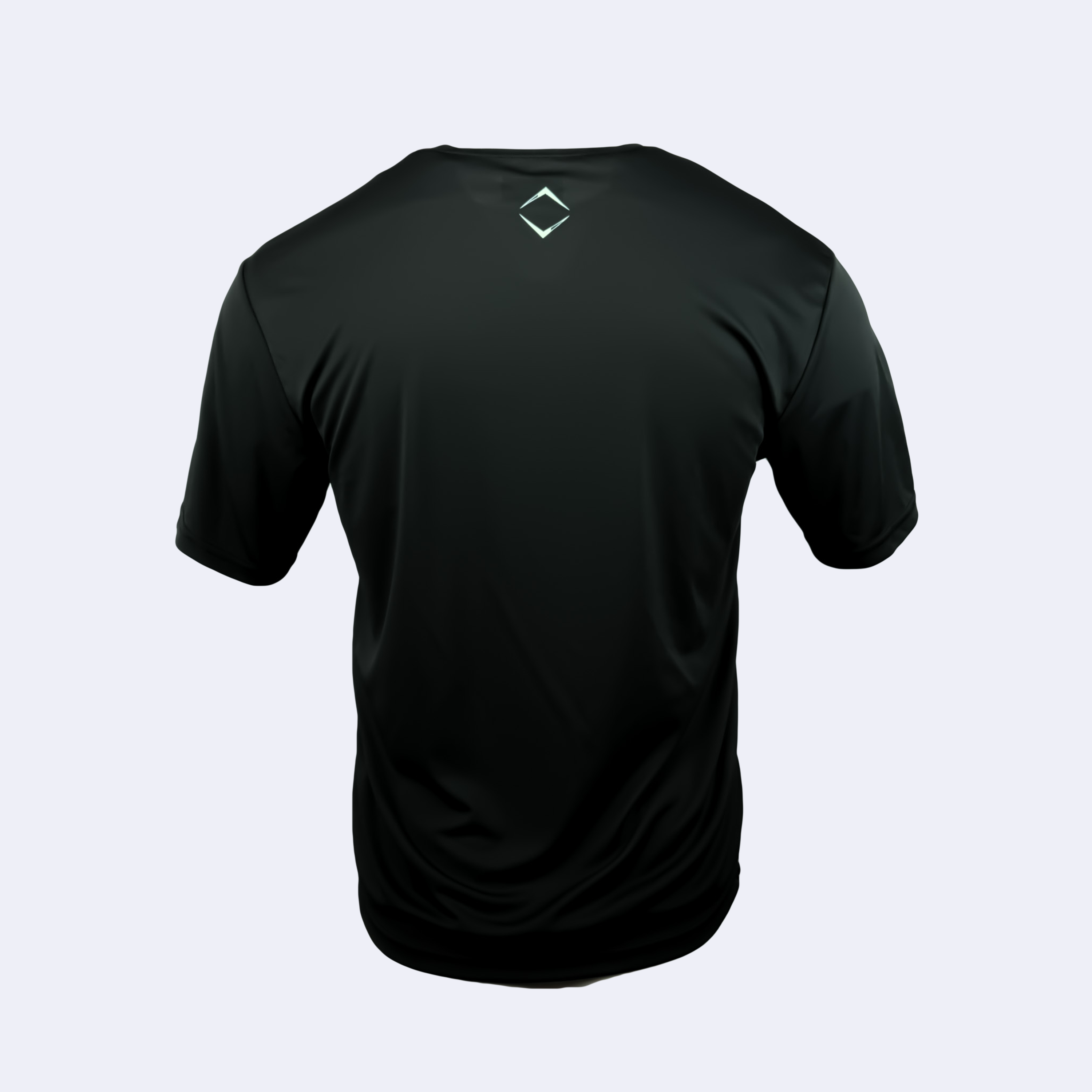 HIGHLIGHT PERFORMANCE TEE - BLACK/MINT V1