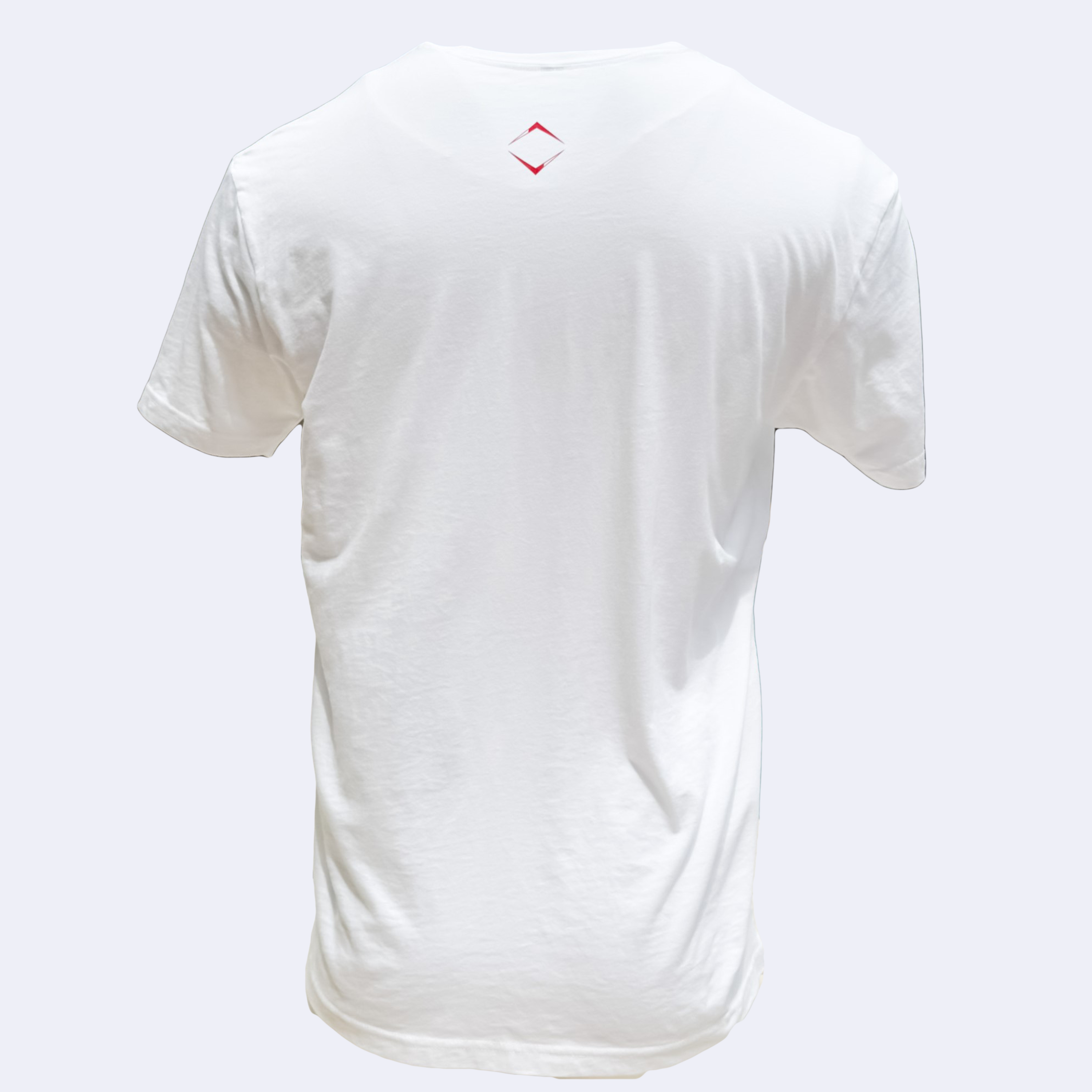 BRING IT YOUTH TEE V1