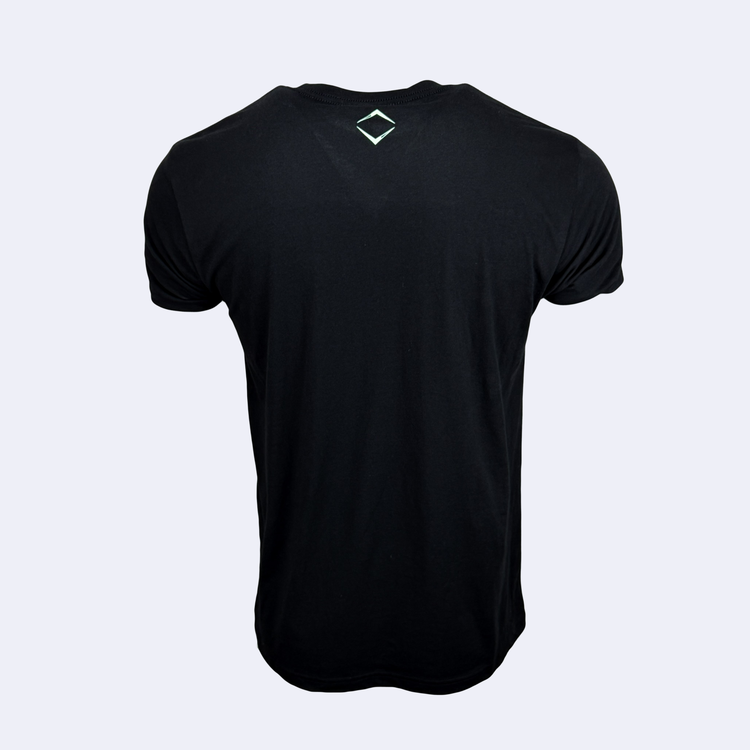 HIGHLIGHT TEE - BLACK/MINT